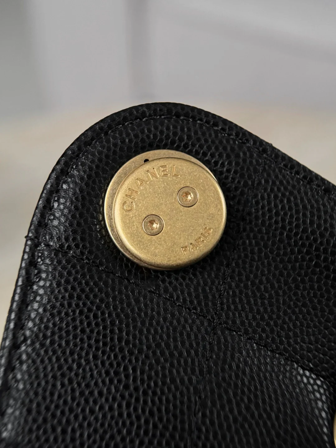 Chan 26C hobo bags