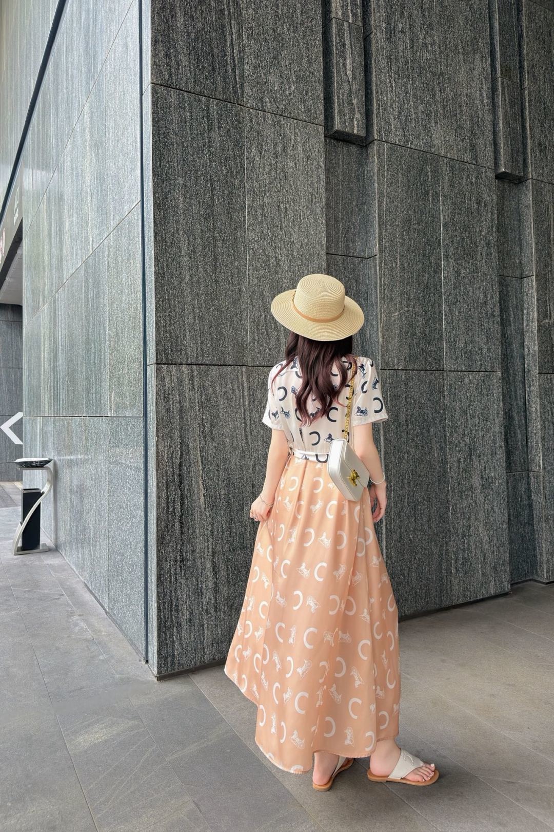 Celi 26ss print dress