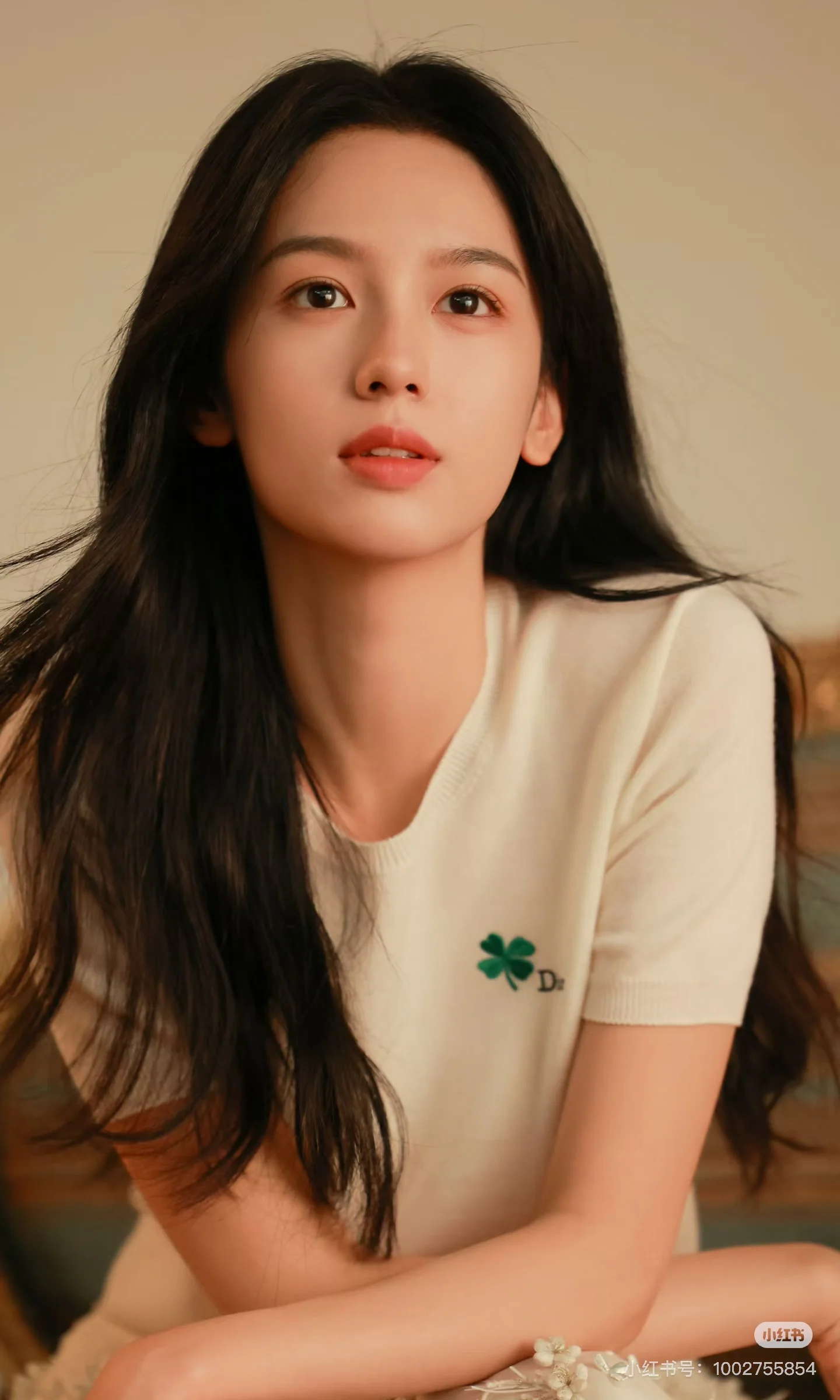 CD 26ss short sleeve knitwear