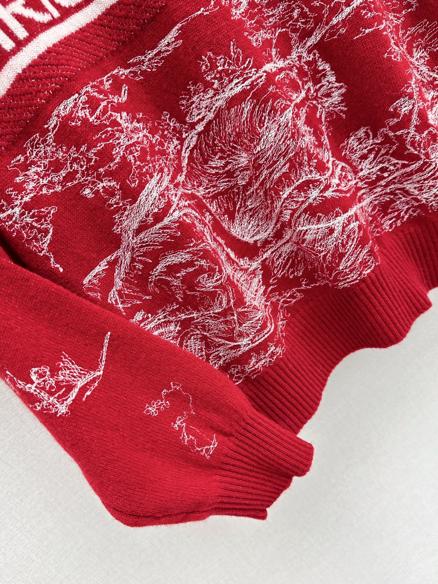 CD 26ss embroidery sweater