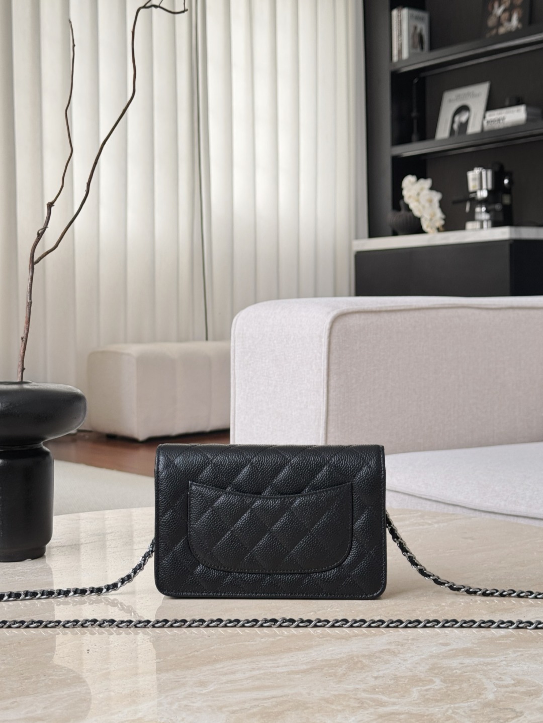 Chan 26ss classic flap woc bag