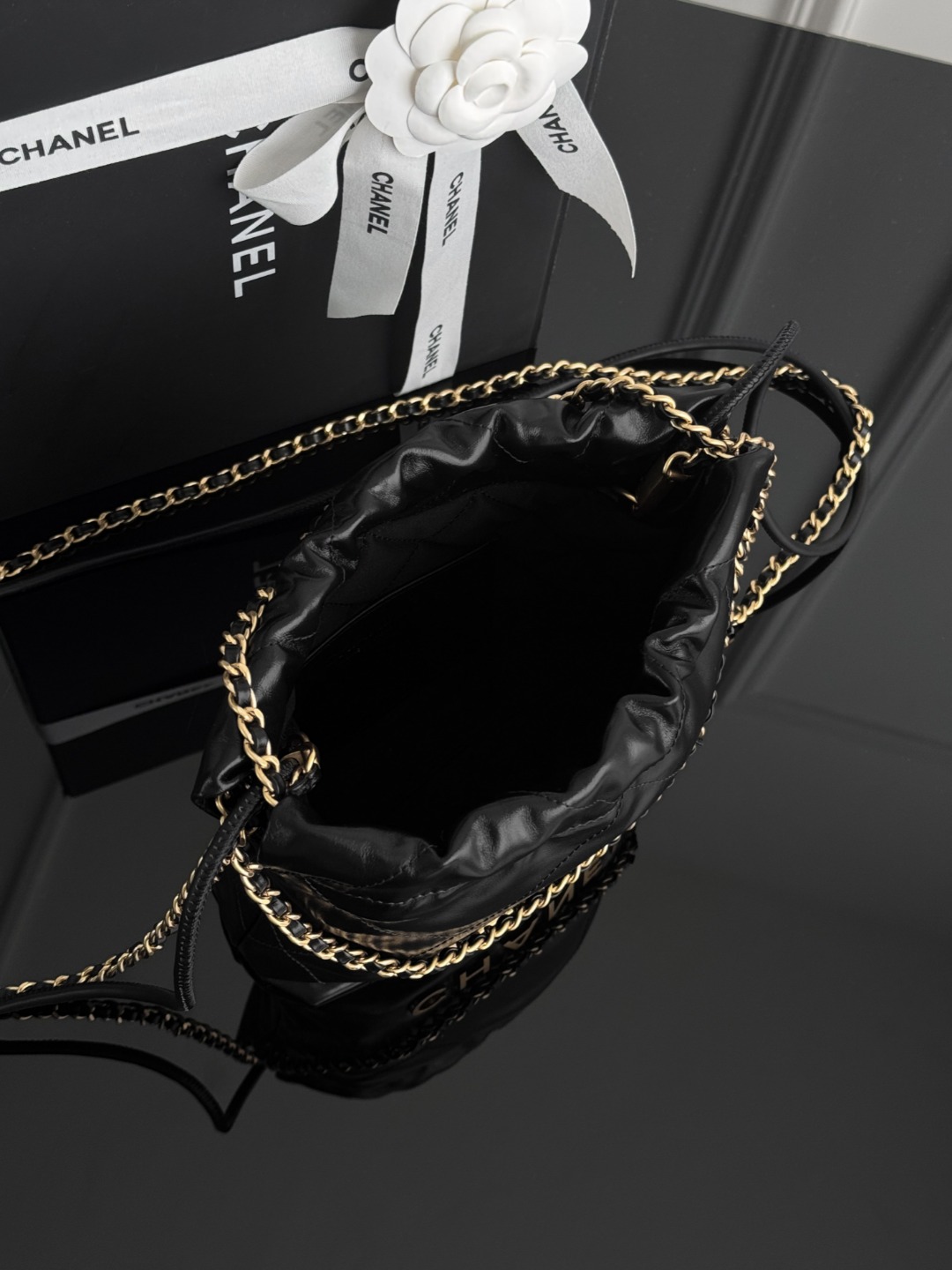 Chan mini 22bag