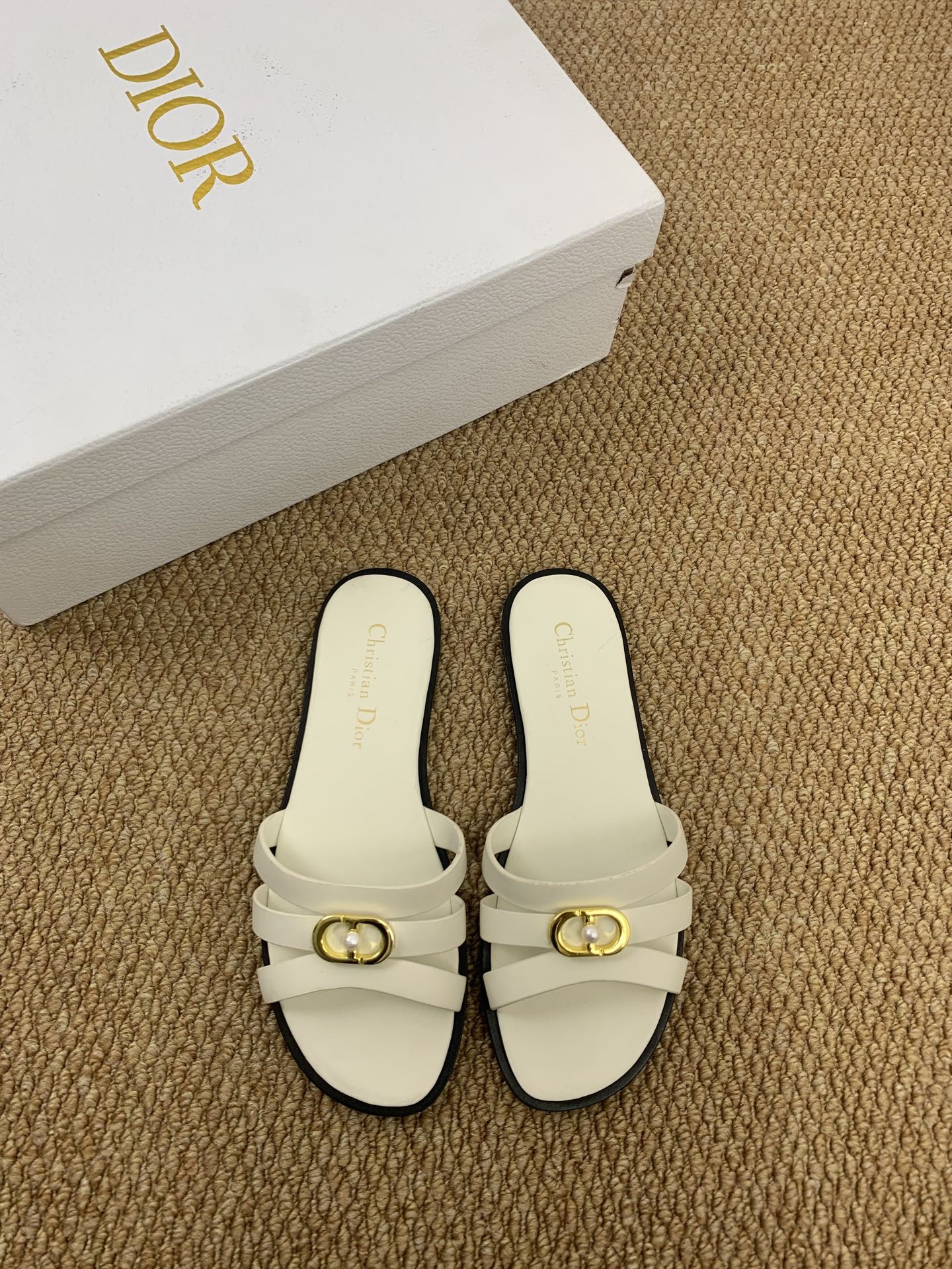 CD 26ss slides