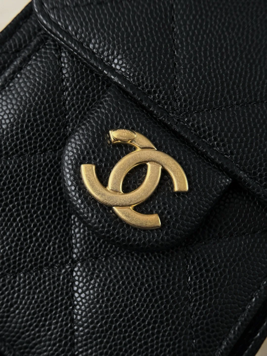 Chan 26C hobo bags