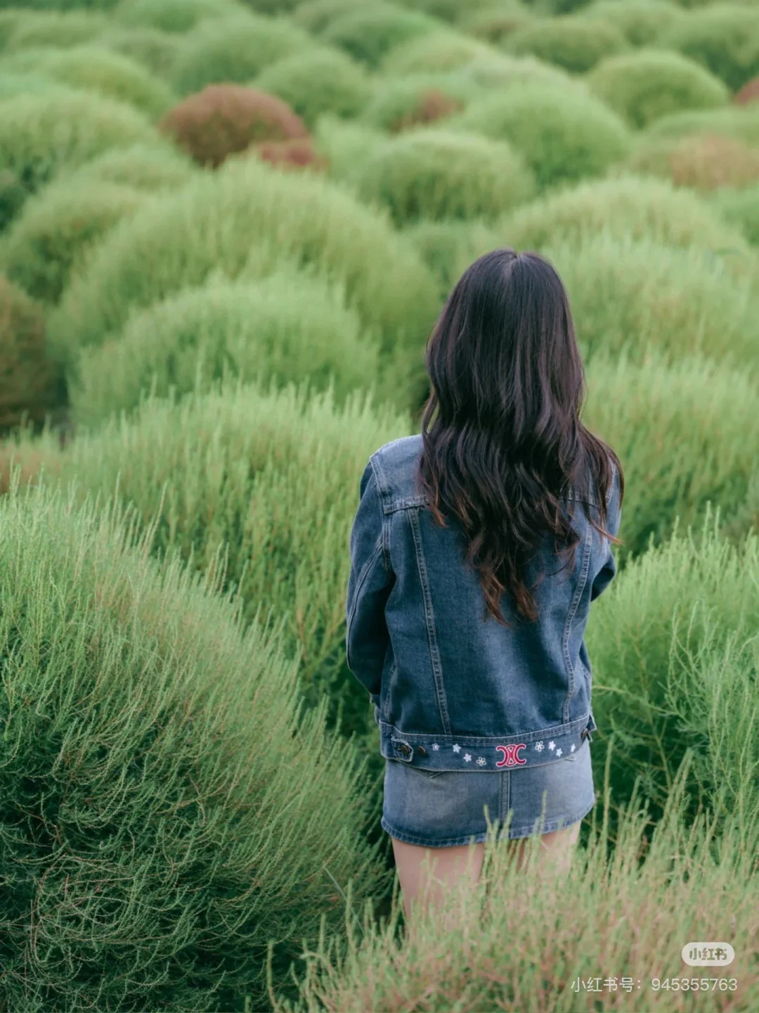 Celi 25fw embroidery denim jacket