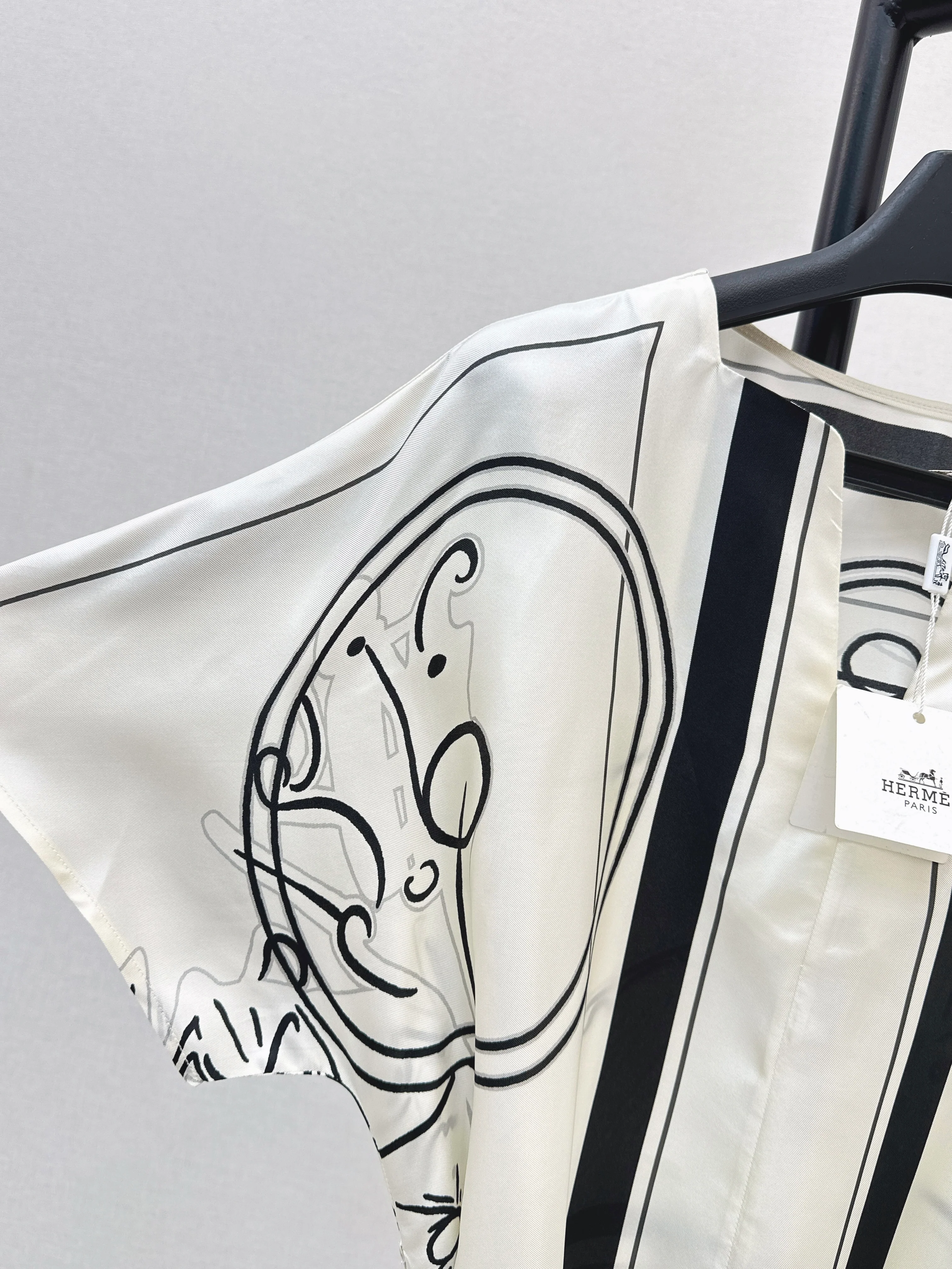 Herm 26ss print silk dress