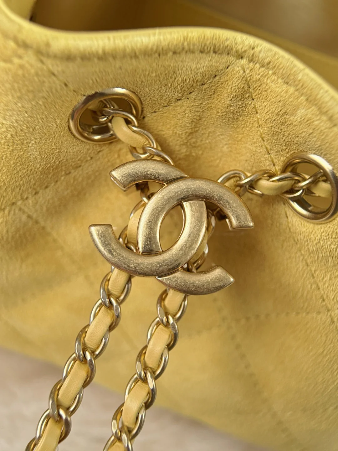 Chan 26C hobo bags