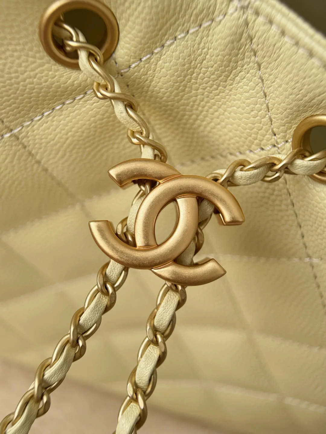 Chan 25S hobo bags