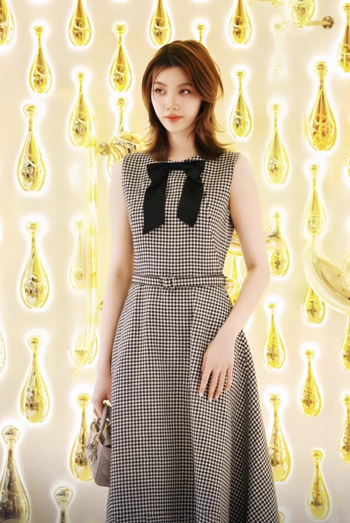 CD 26ss houndstooth dress