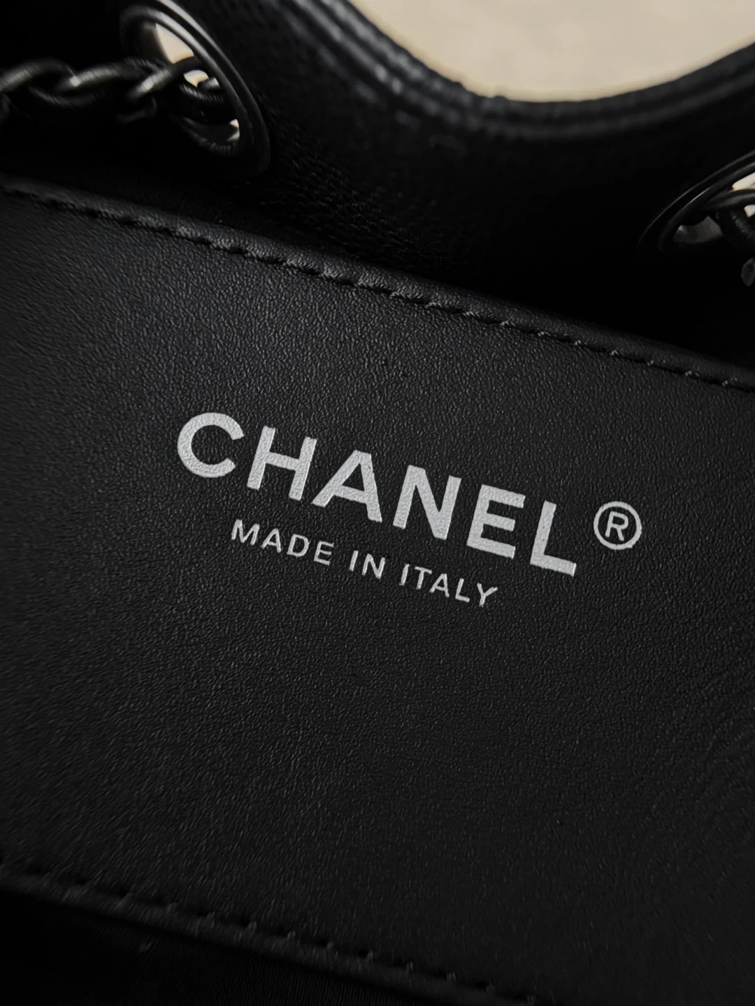 Chan 26C hobo bags