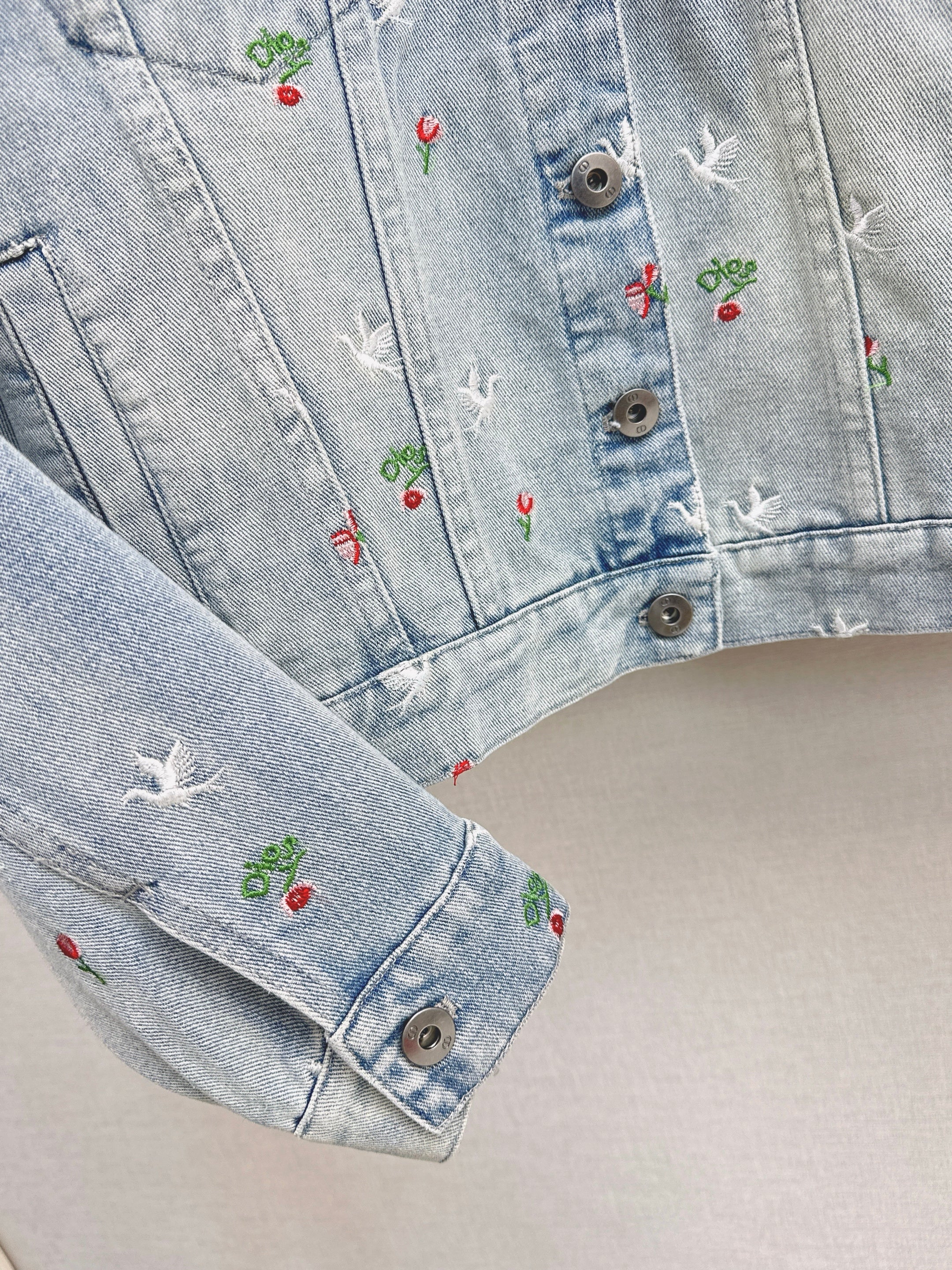 CD 26ss embroidery denim jacket
