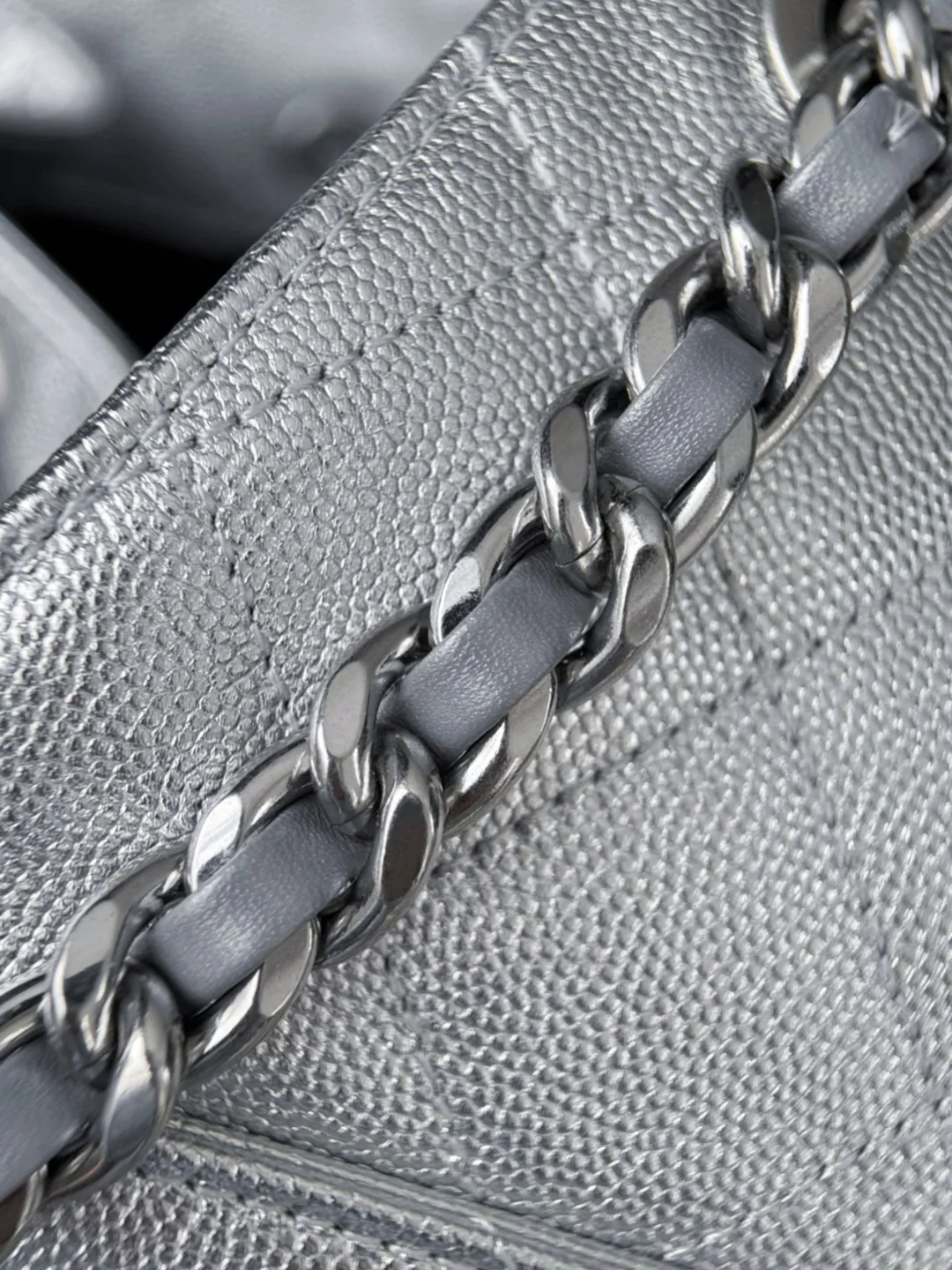 Chan 26C hobo bags