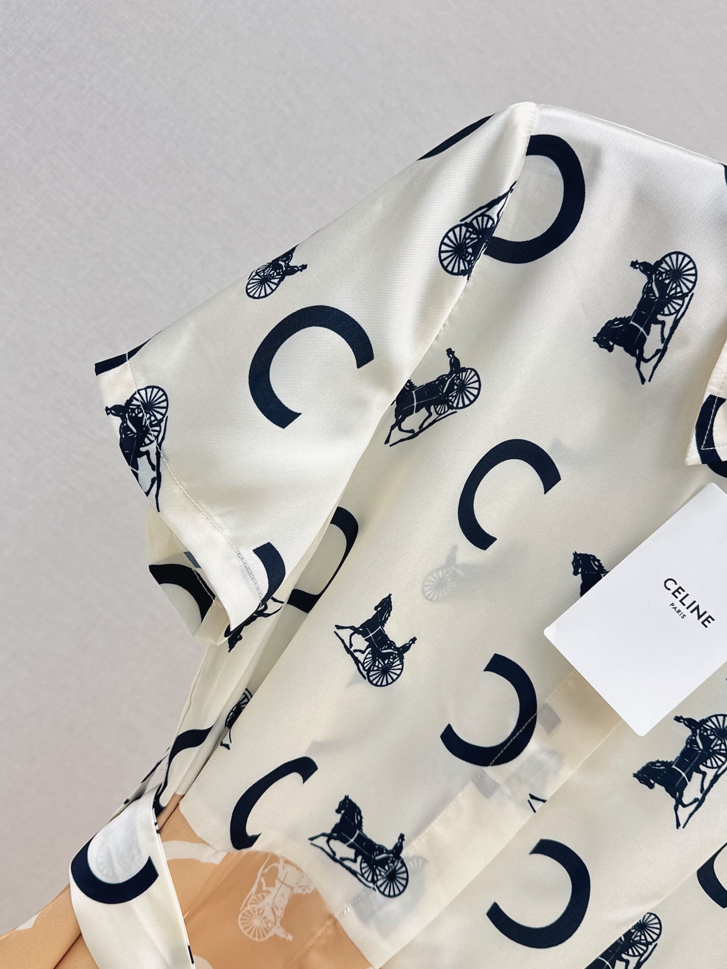 Celi 26ss print dress