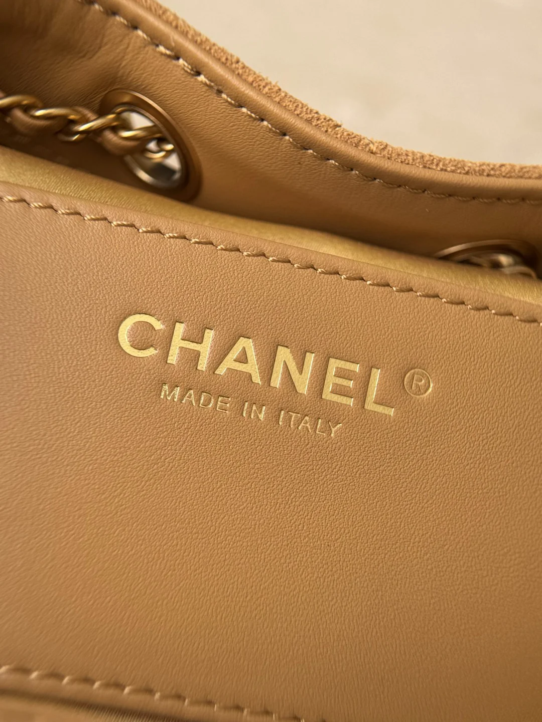 Chan 26c hobo bag