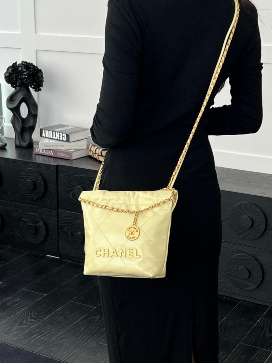 Chan mini 22bag