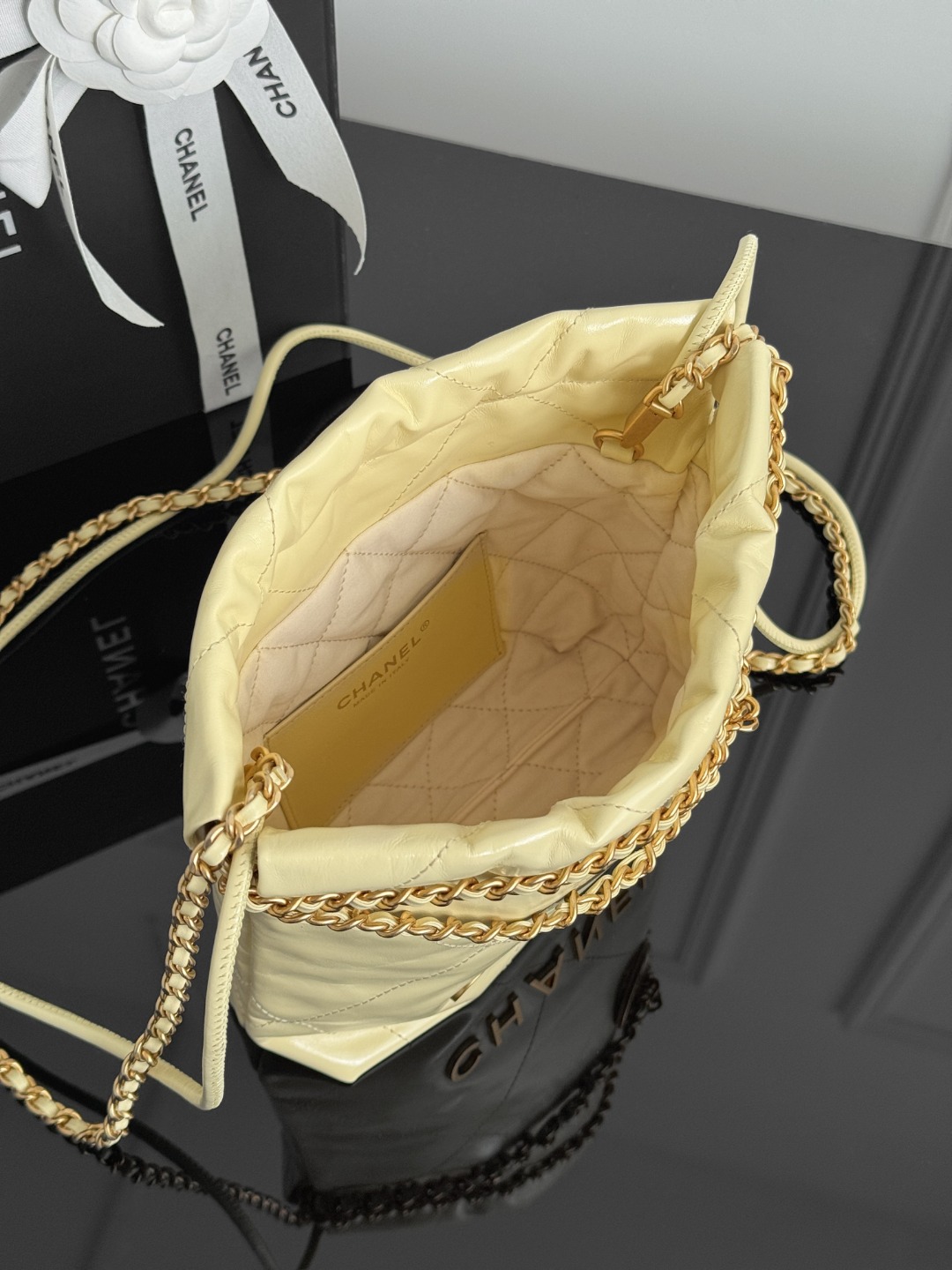 Chan mini 22bag