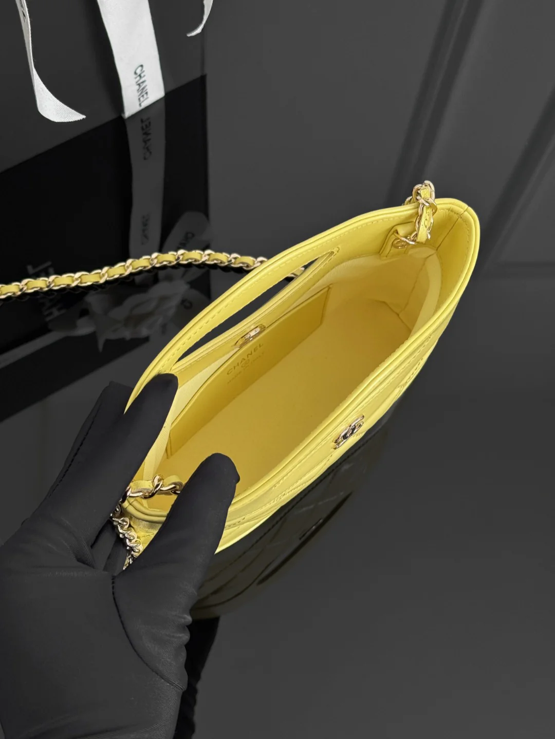 Chan 31bag nano shoulder bags