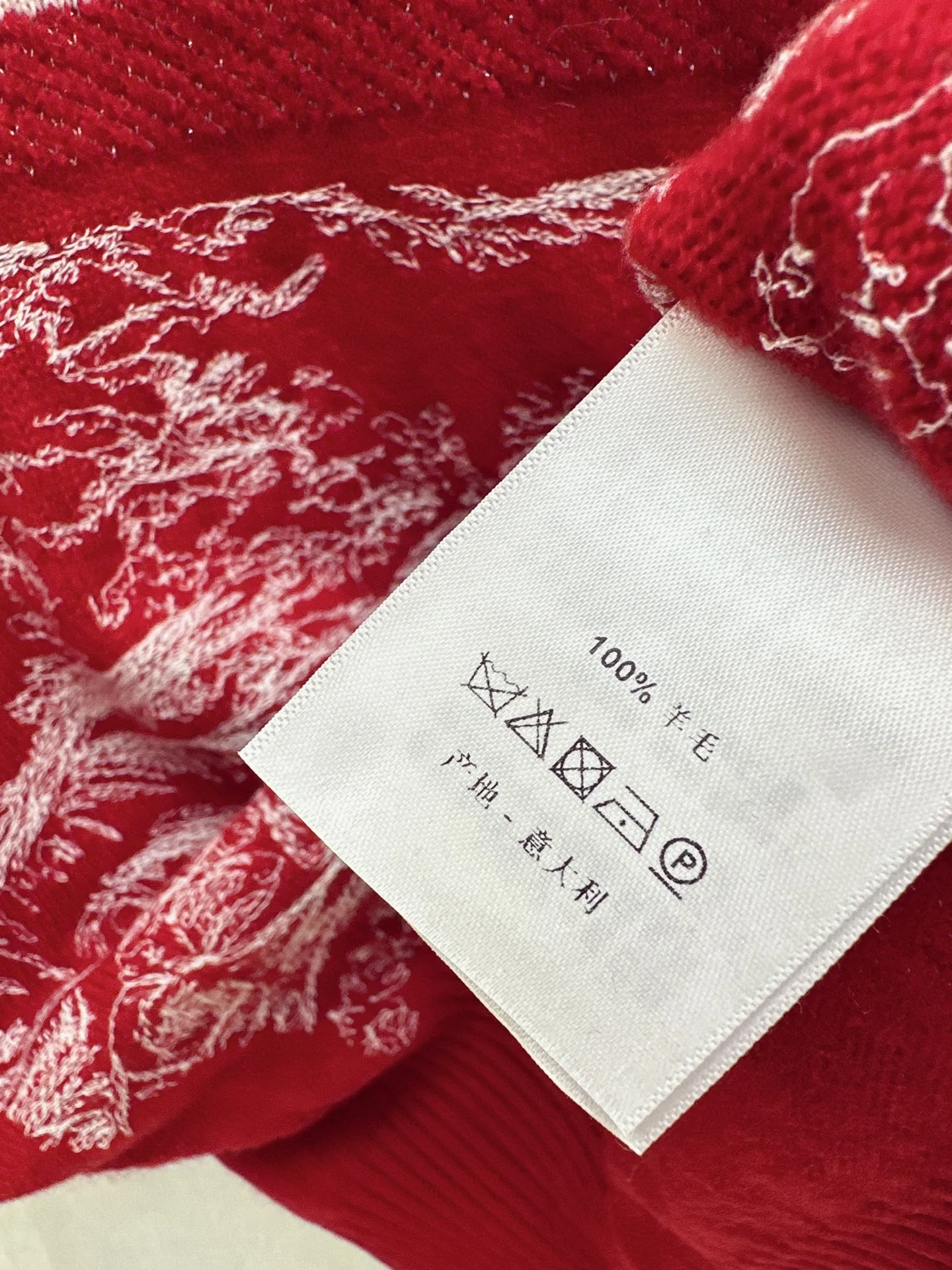 CD 26ss embroidery sweater