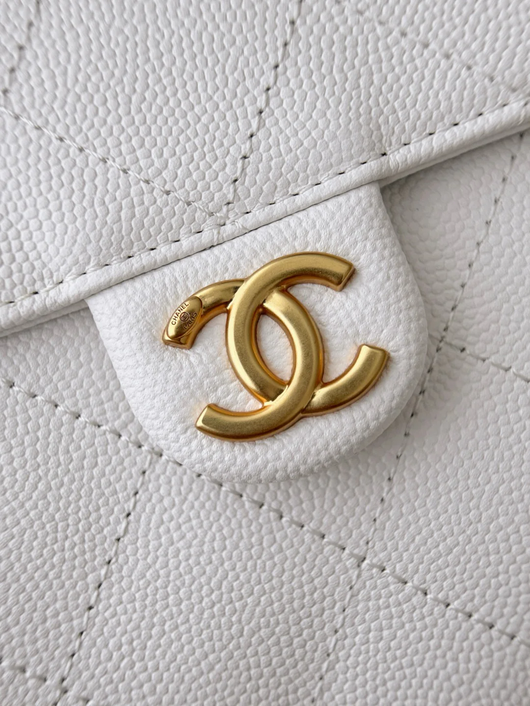 Chan 25S hobo bags
