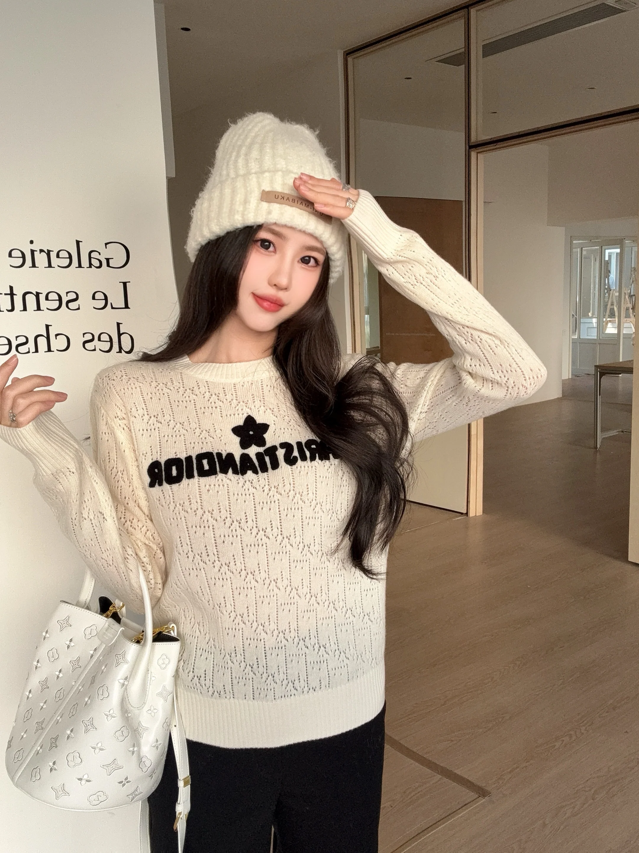 CD 26ss embroidery sweater