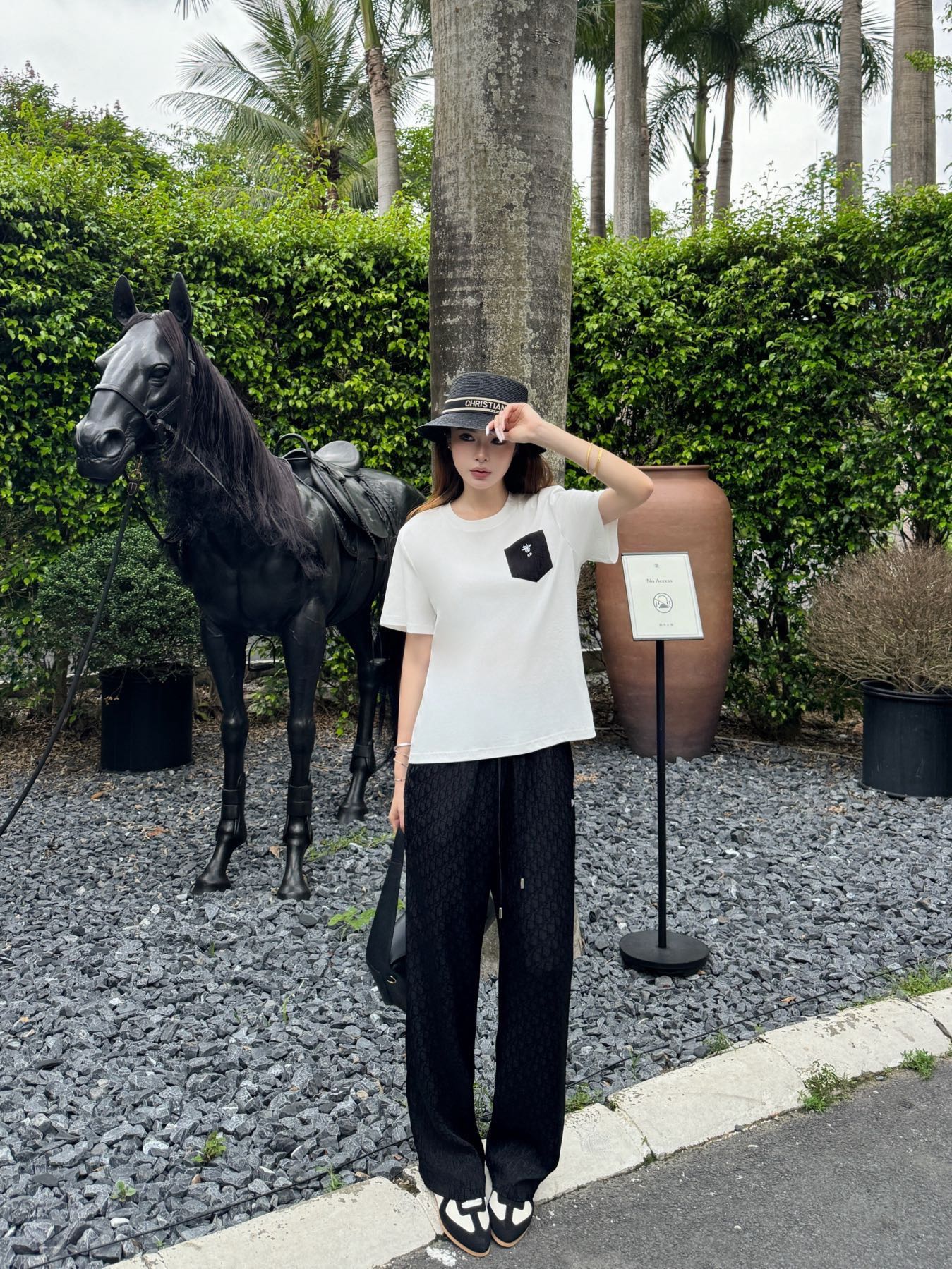 CD 26ss t-shirt wied leg pants set