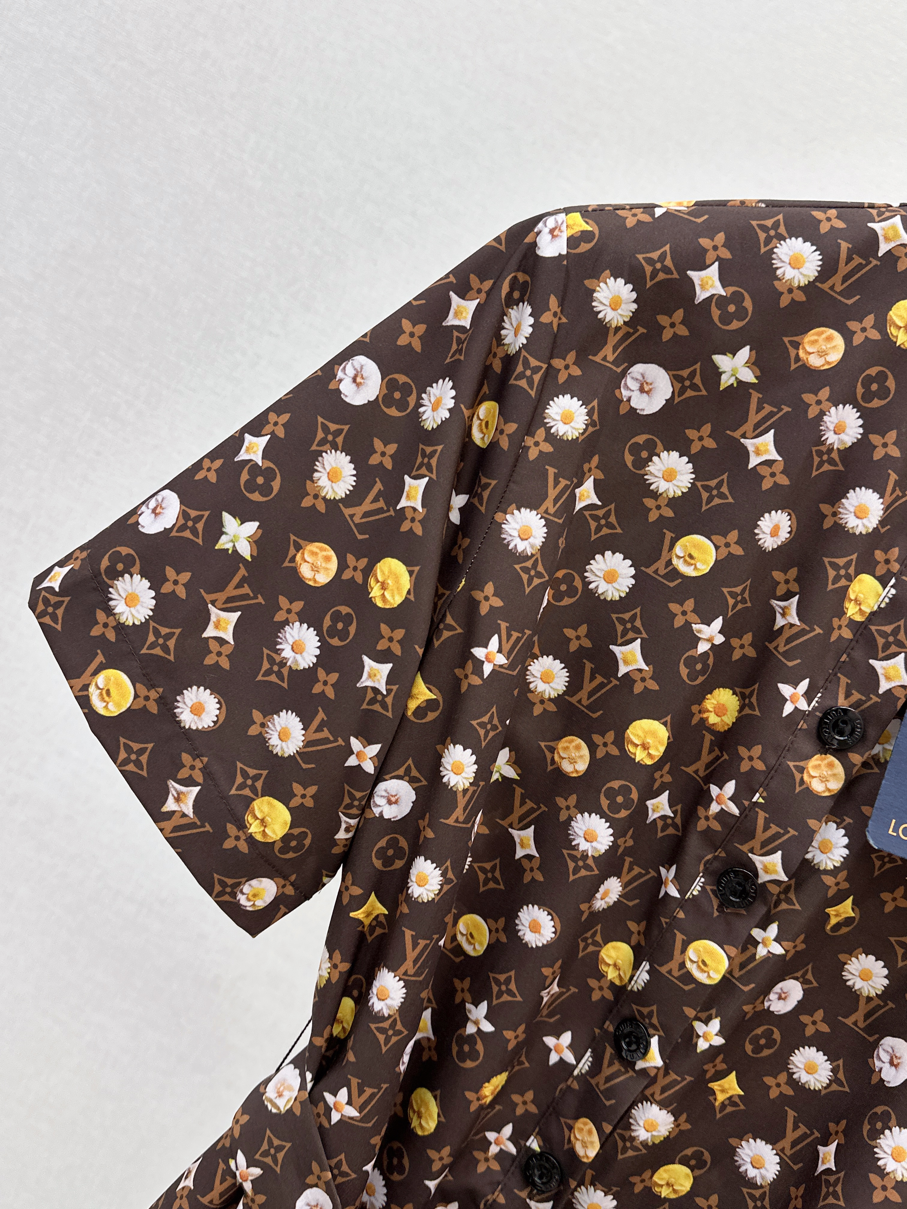 Loui 26ss print dress
