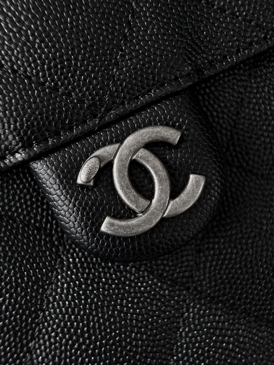 Chan 26C hobo bags