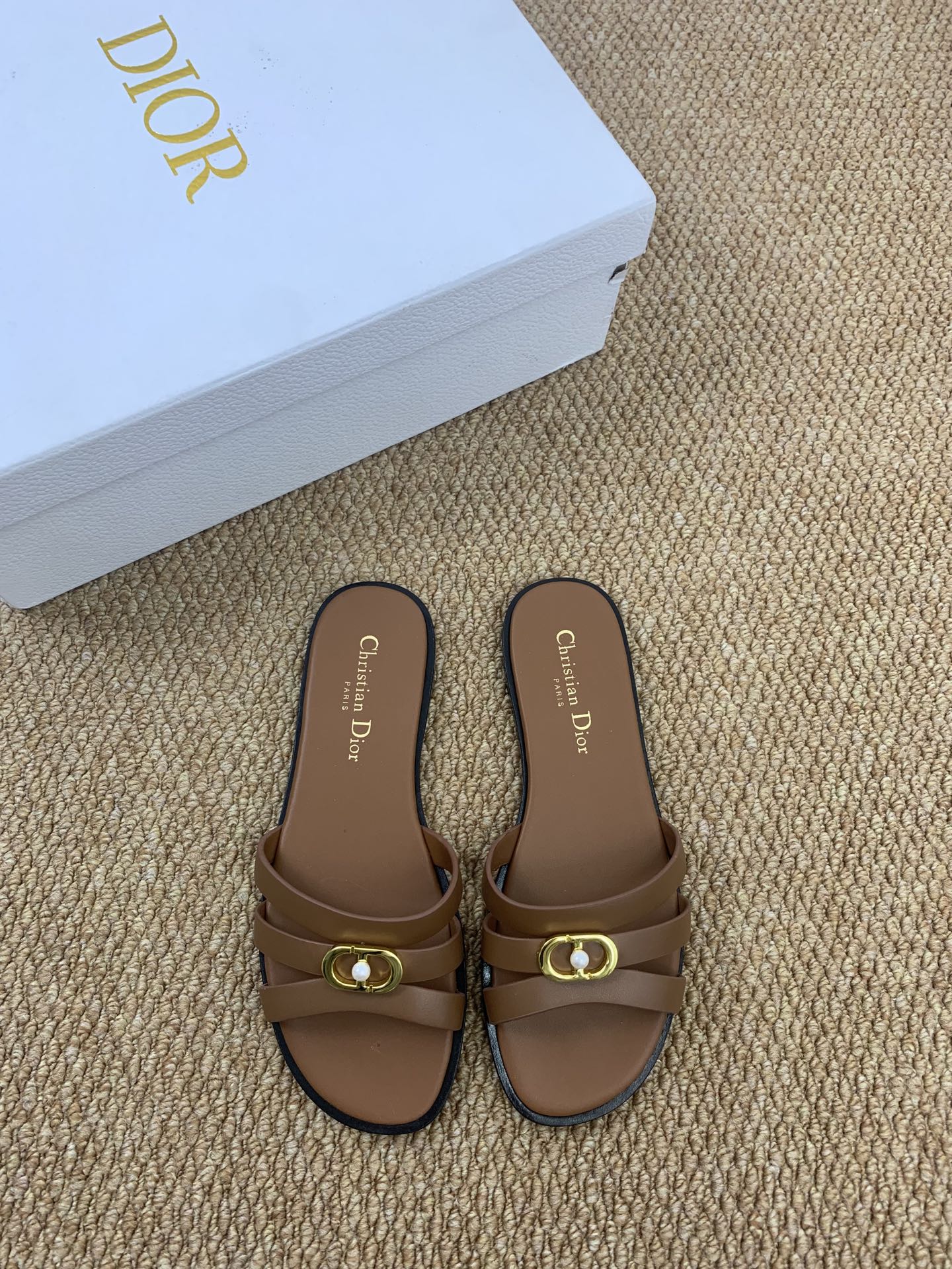 CD 26ss slides