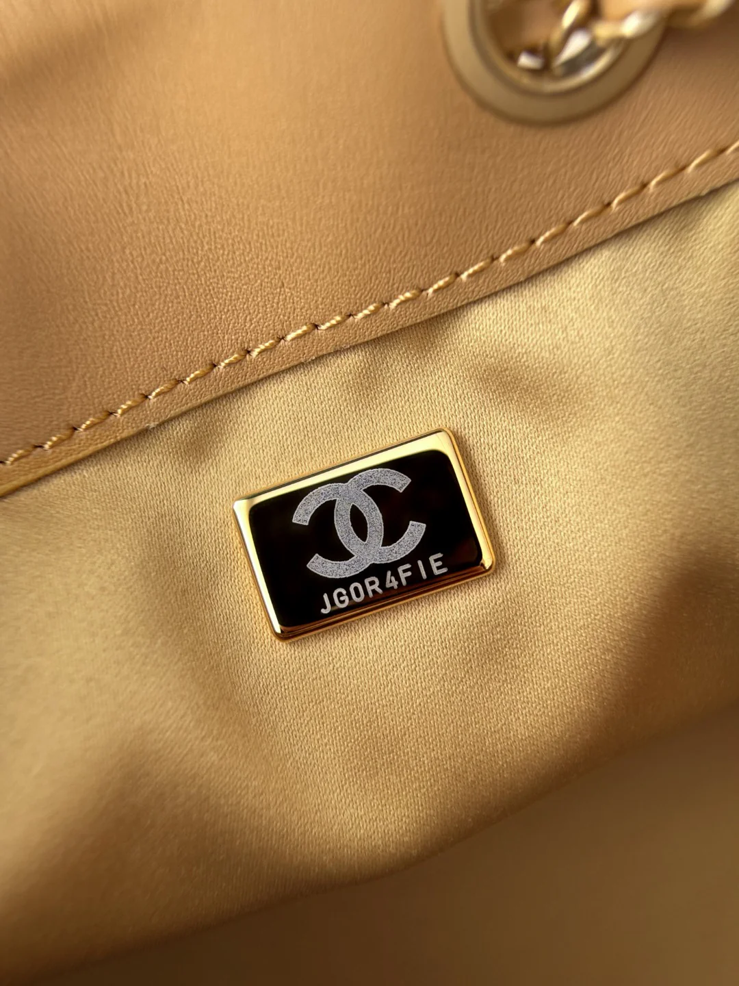 Chan 26c hobo bag