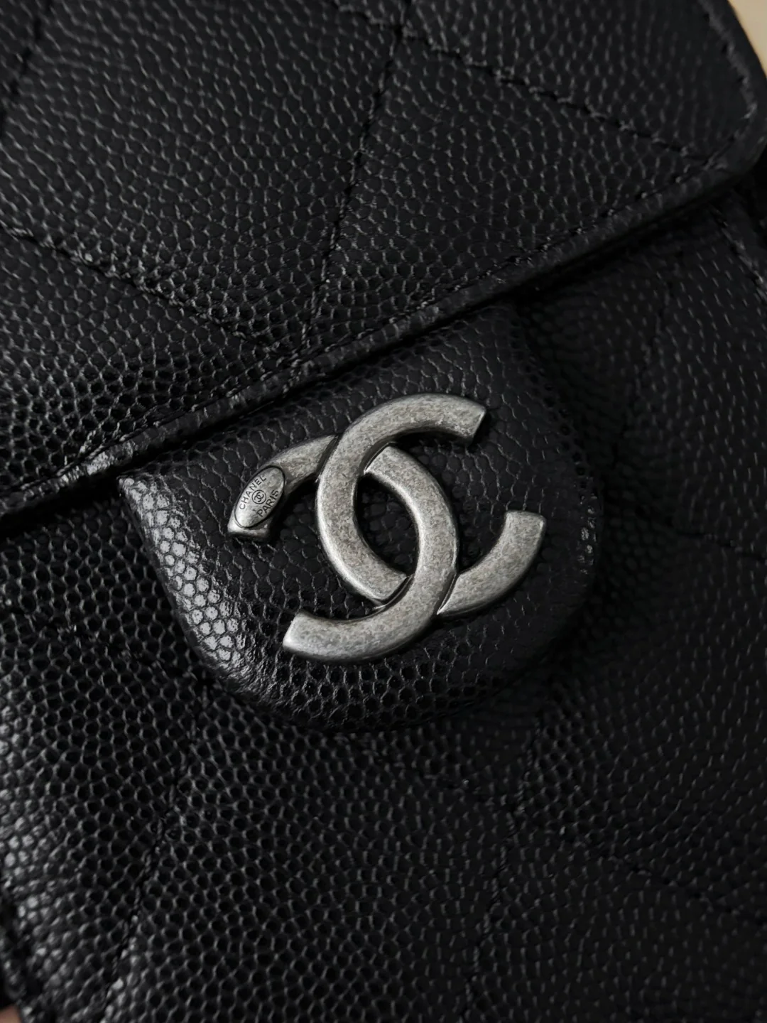 Chan 26C hobo bags