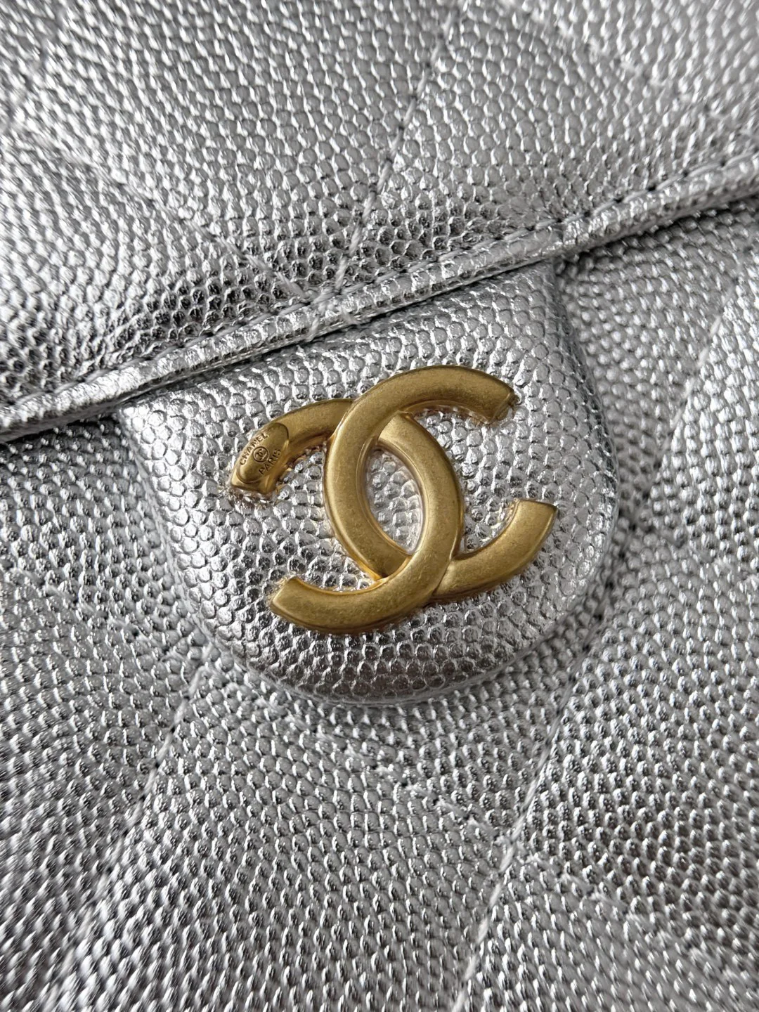 Chan 25S hobo bags