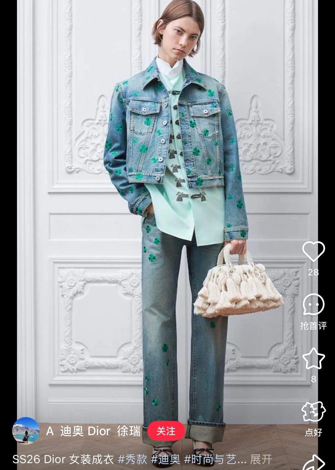 CD 26ss embroidery jeans