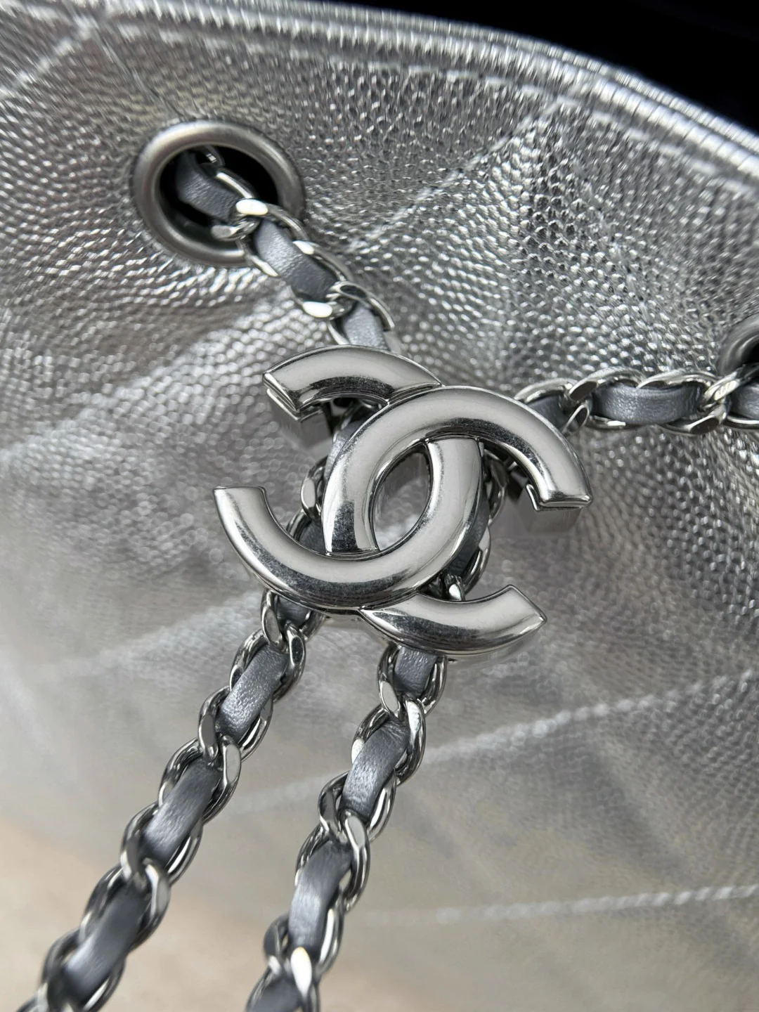 Chan 26C hobo bags
