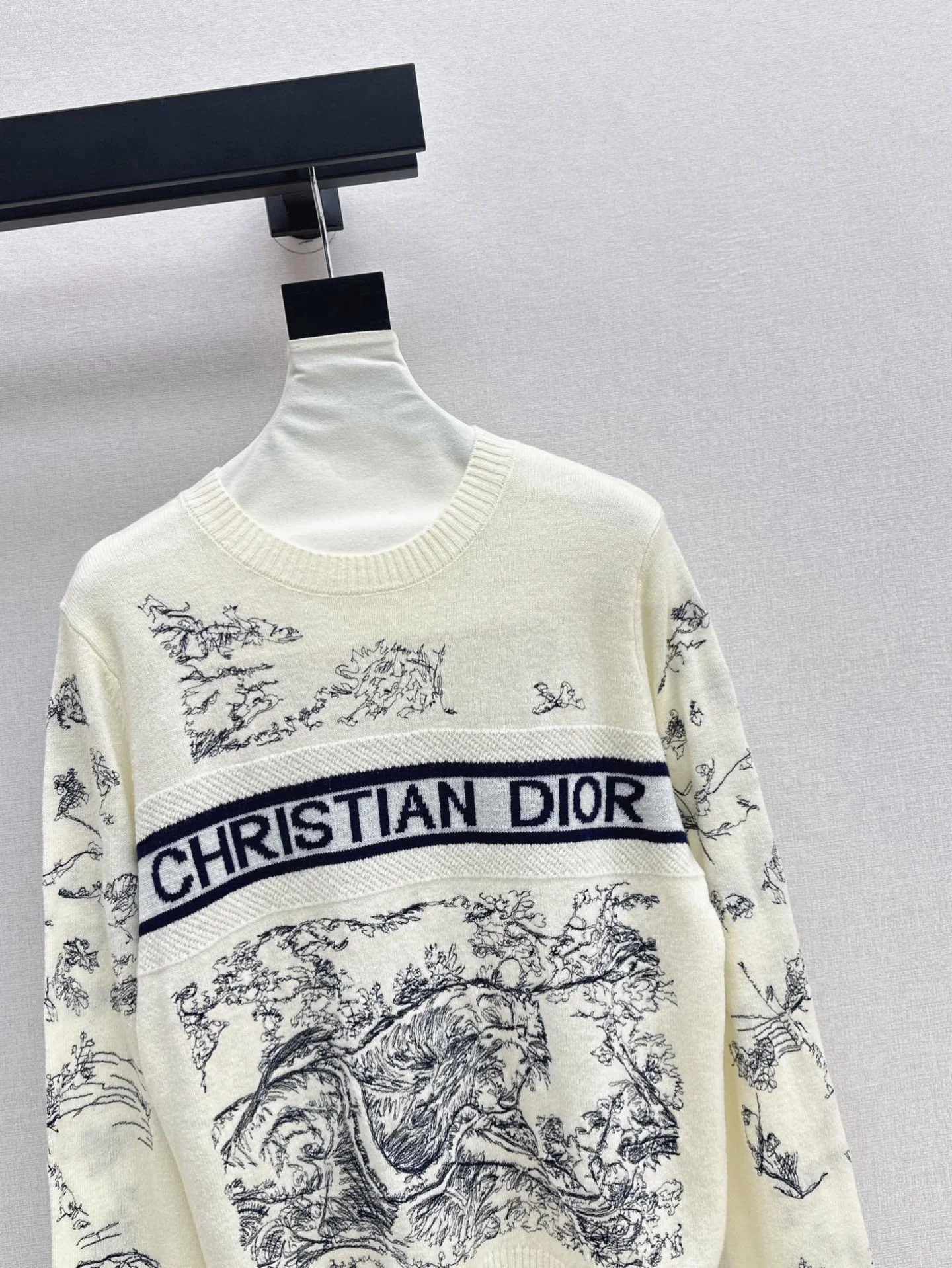 CD 26ss embroidery sweater