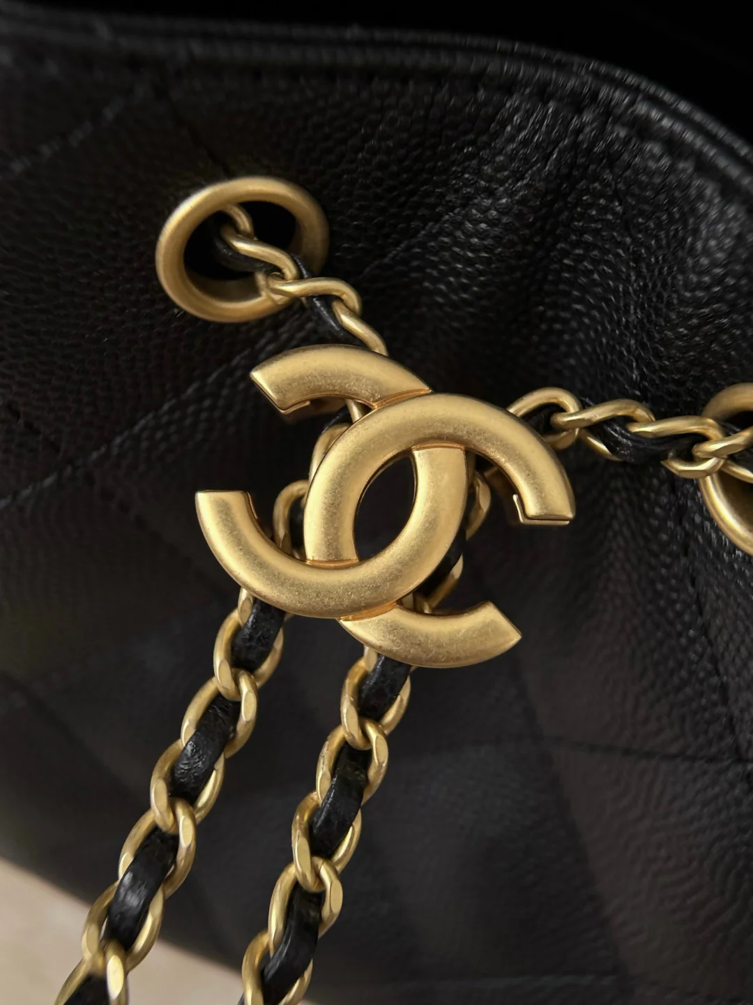 Chan 25S hobo bag